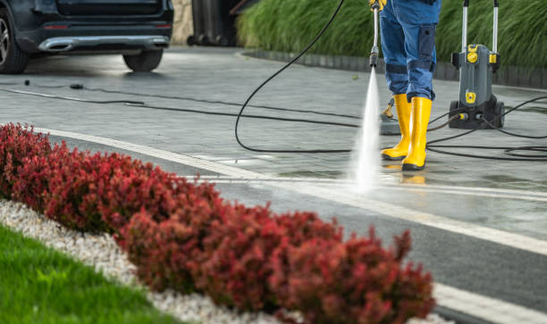 Best House Exterior Washing  in Bellville, TX
